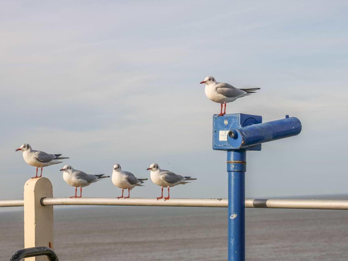 Robins Nest Villa Cromer Bagian luar foto
